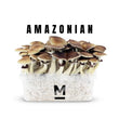 Amazonian mushroom grow kit 750cc