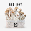 Red boy mushroom grow kit 750 cc