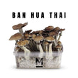 Zestaw do uprawy grzybów Ban hua thai 750 cc