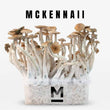 Mc kennaii mushroom grow kit 750 cc