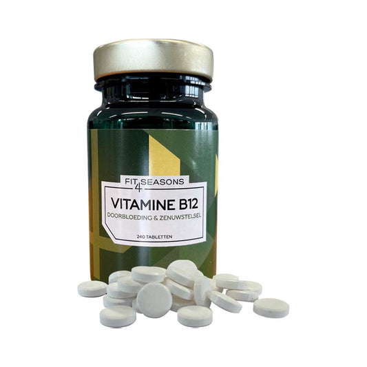 Vitamin B12 240 tablets